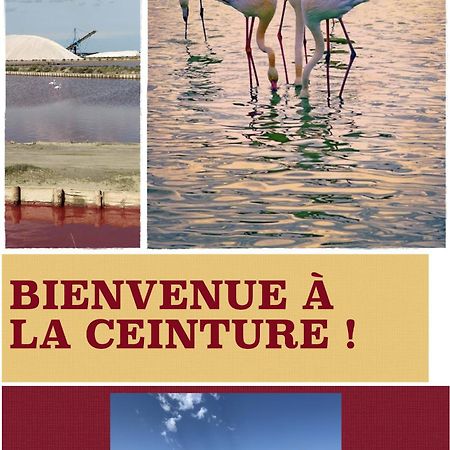 Hotel Restaurant La Ceinture Vauvert Dış mekan fotoğraf